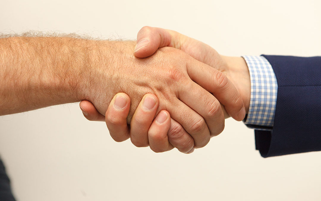 Company News